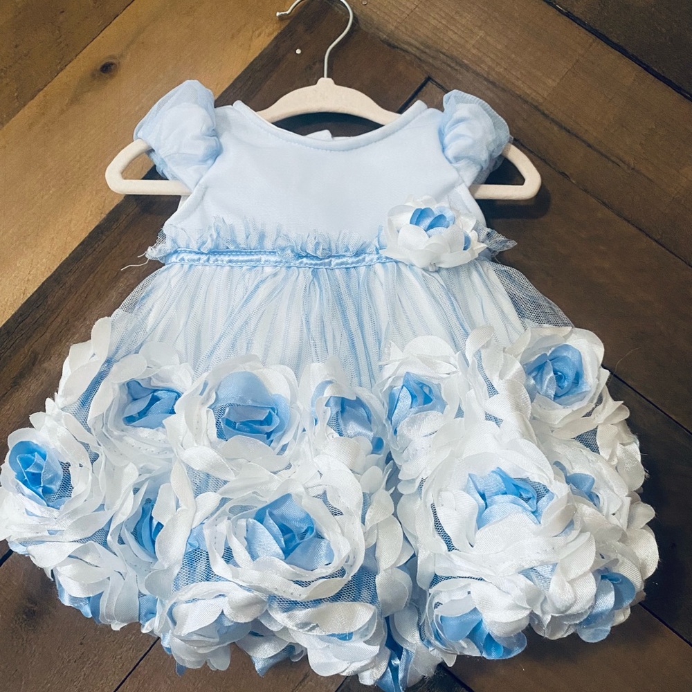 Nannette Baby Blue and White TuTu Floral Rose Dress : Great Condition
